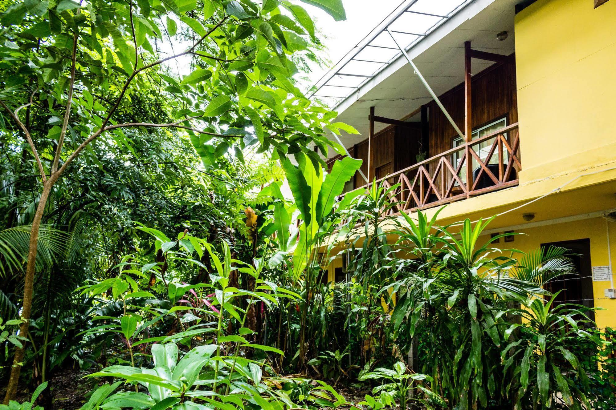 Hotel Aurora Montezuma Exterior foto