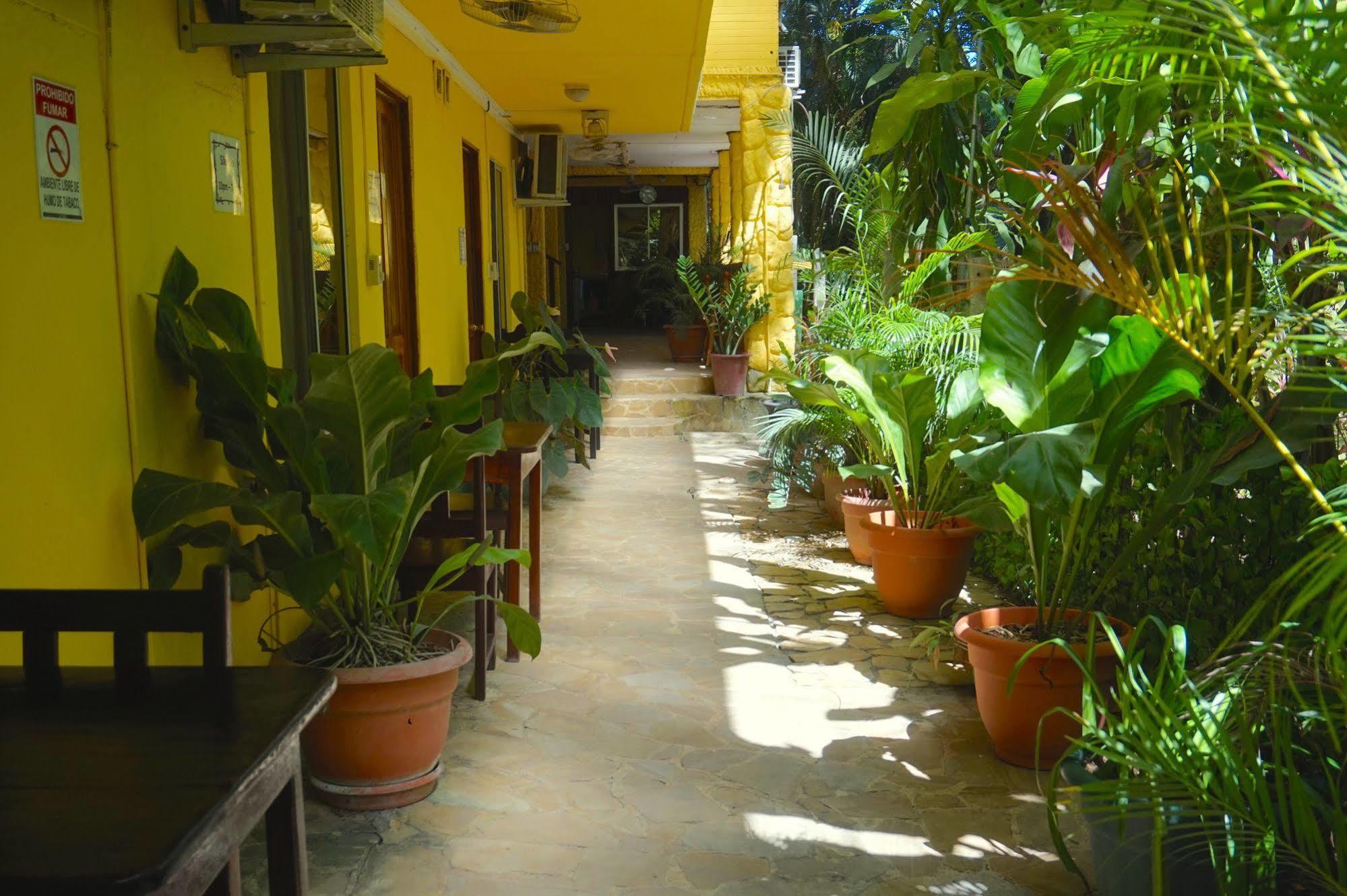 Hotel Aurora Montezuma Exterior foto